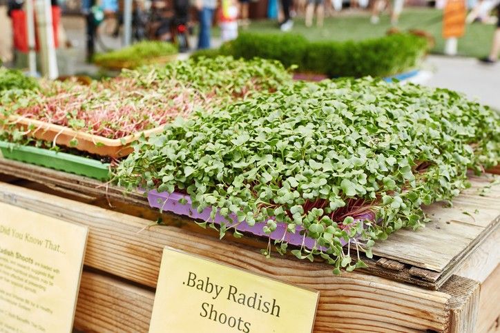 Emerging innovative ways of growing food on-site by stores