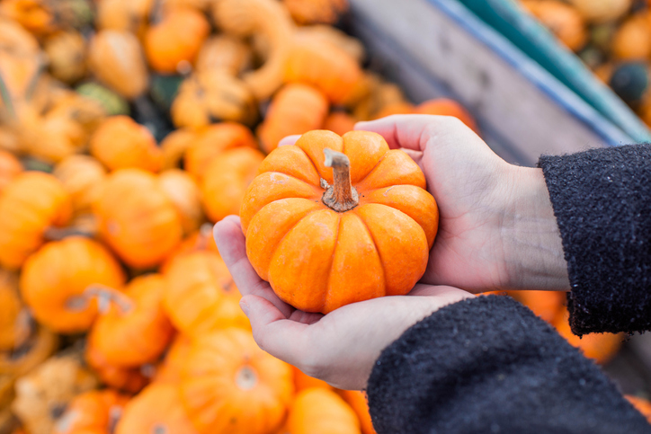 ‘Demand for pumpkins up by 15 per cent’