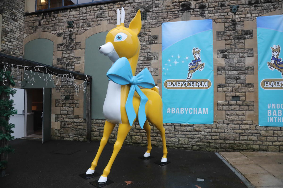 Brothers Drinks reacquires sparkling perry brand Babycham from Accolade Wines