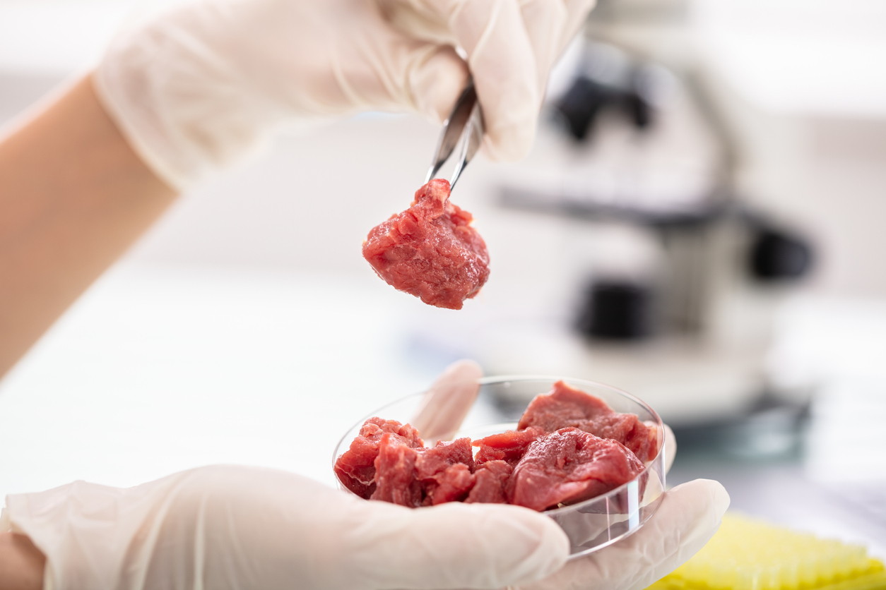 Brits increasingly game to try lab-grown meat and insects