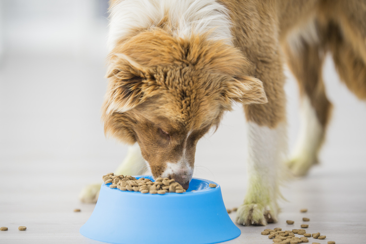 Cranswick enters pet food sector with latest acquisition
