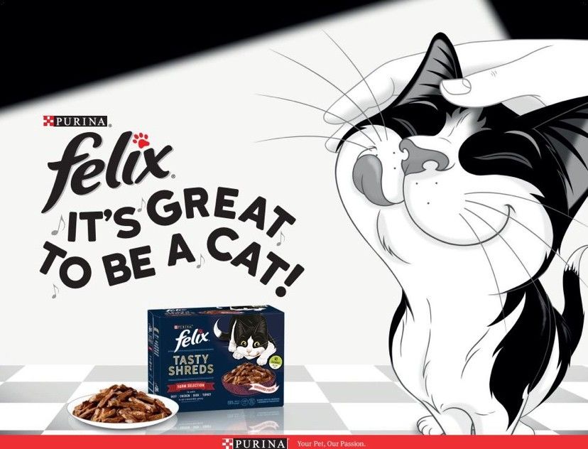 Felix launches new campaign to drive pet owners into stores Business