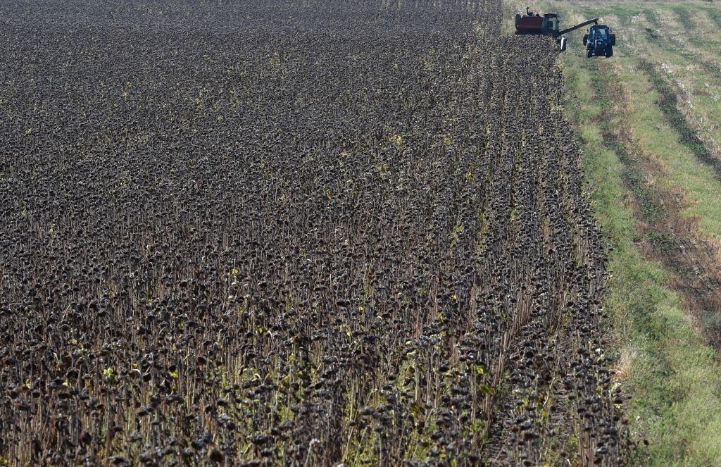 UKRAINE-CRISIS-ECONOMY-HARVEST