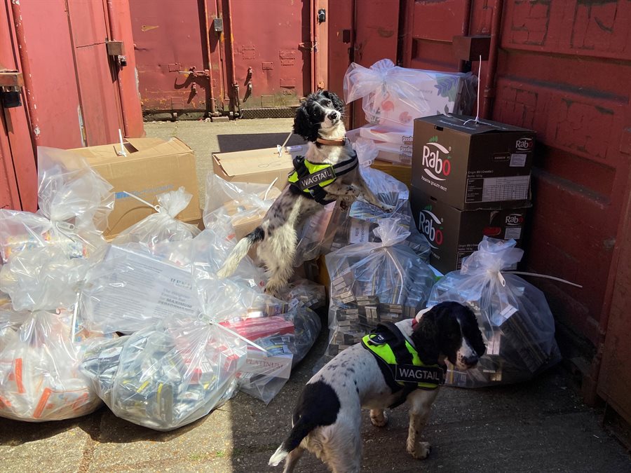 Illegal cigarettes and vapes seized during Tower Hamlets raid