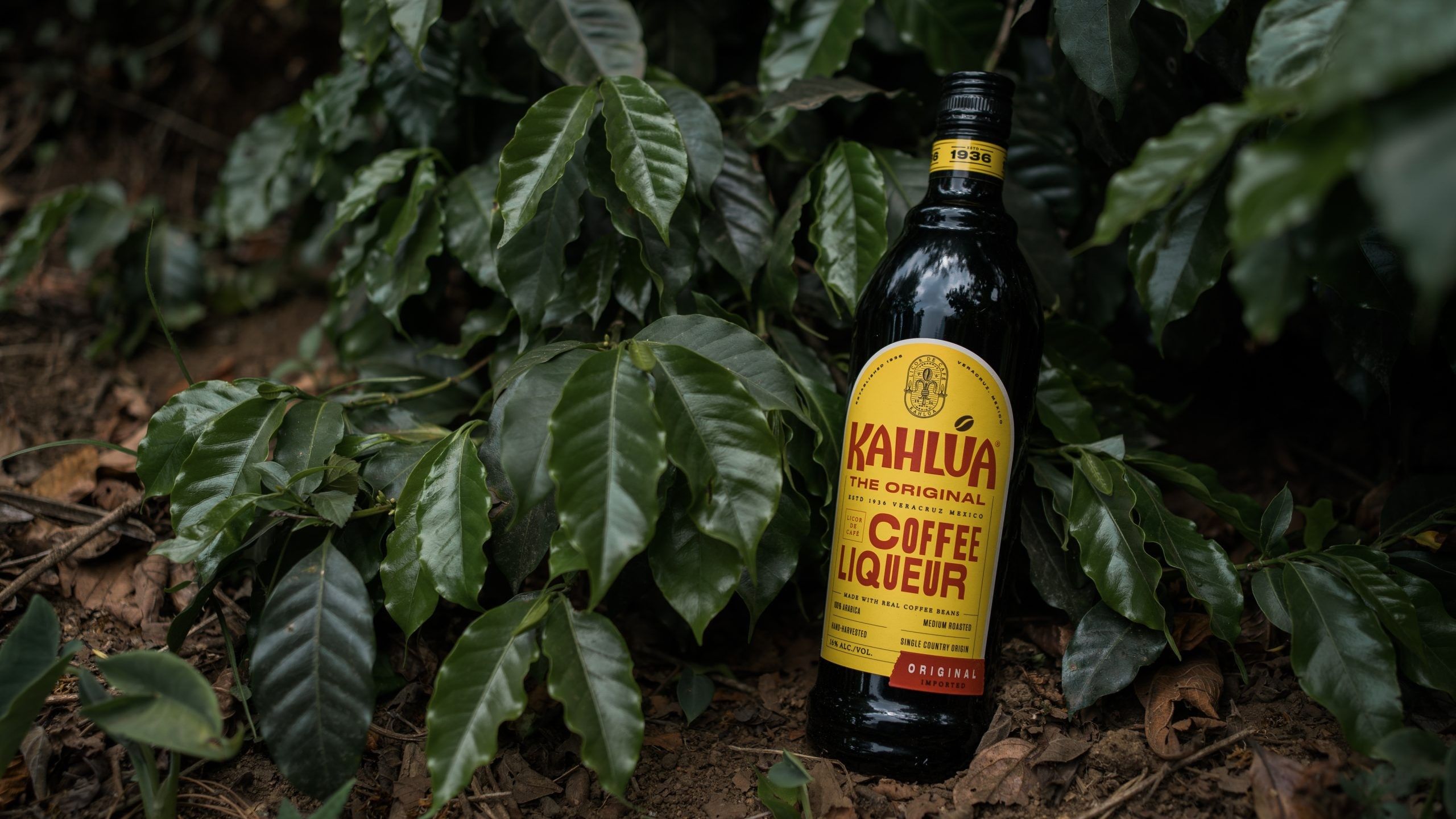 Coffee liqueur Kahlúa launches blueprint for sustainable coffee