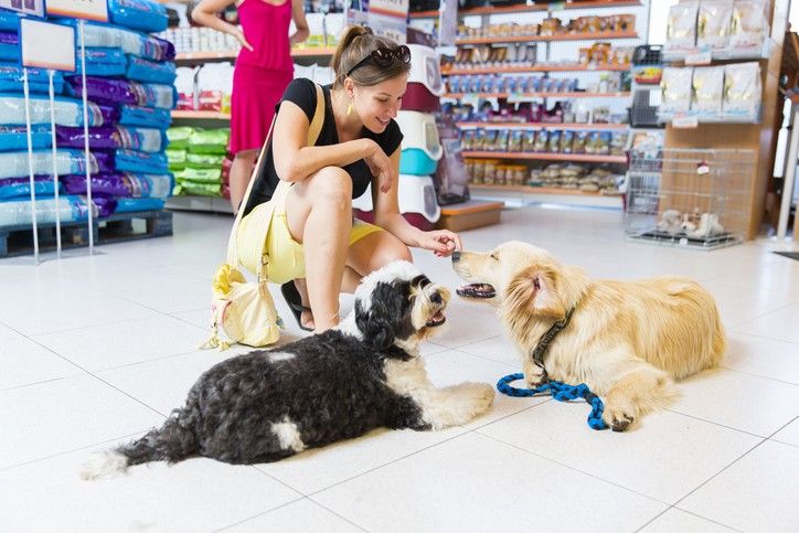 Revamp pet food aisle for whoofingly-good sales