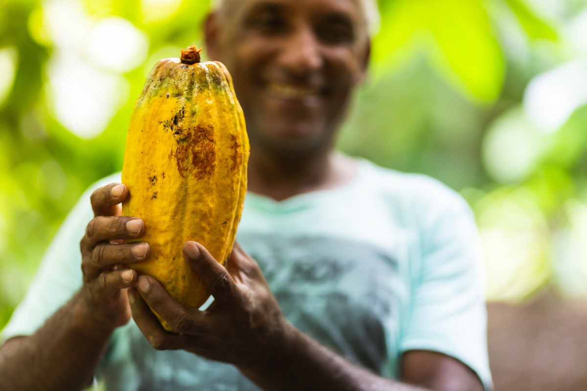 Mondelēz commits additional $600 million to Cocoa Life program
