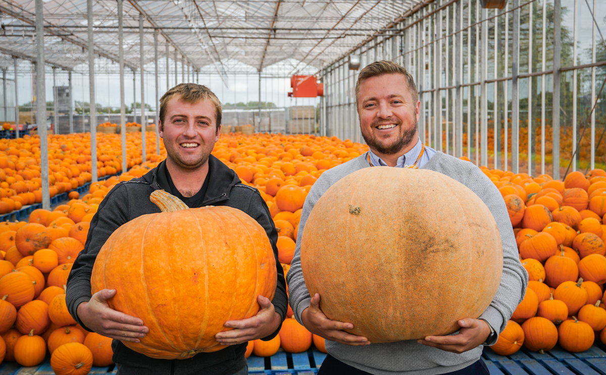 Pumpkins aplenty at SPAR stores, as James Hall enlists Lancashire growers T&E Forshaw for Halloween