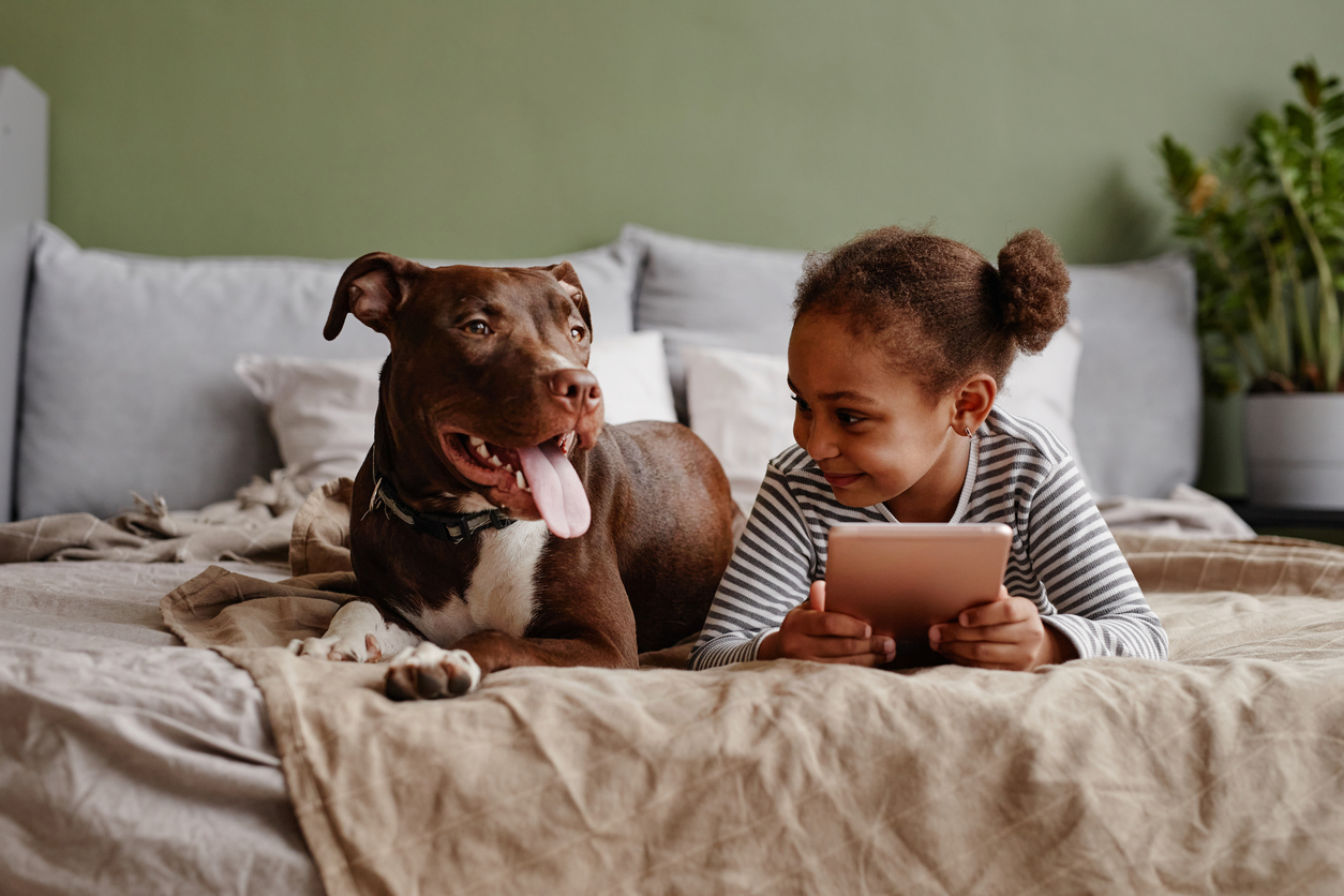 Purina launches new edition of £175,000 BetterWithPets Prize