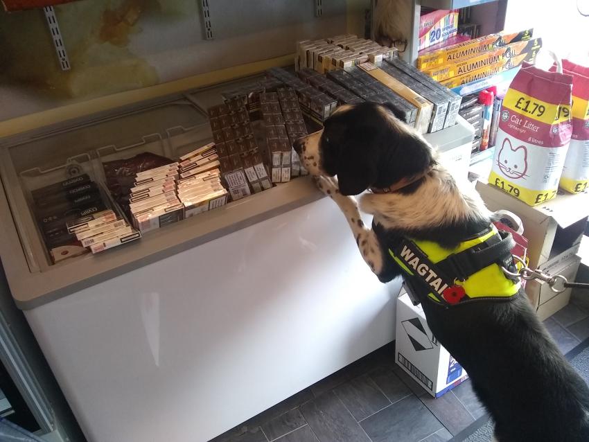 Illegal tobacco worth £25,000 seized from local shops in Hammersmith