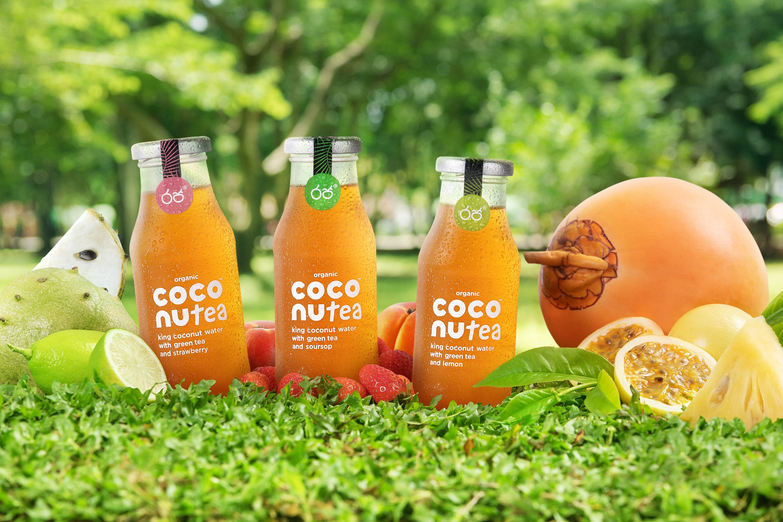 Coconutea launches organic King Coconut Water and Premium Green Tea