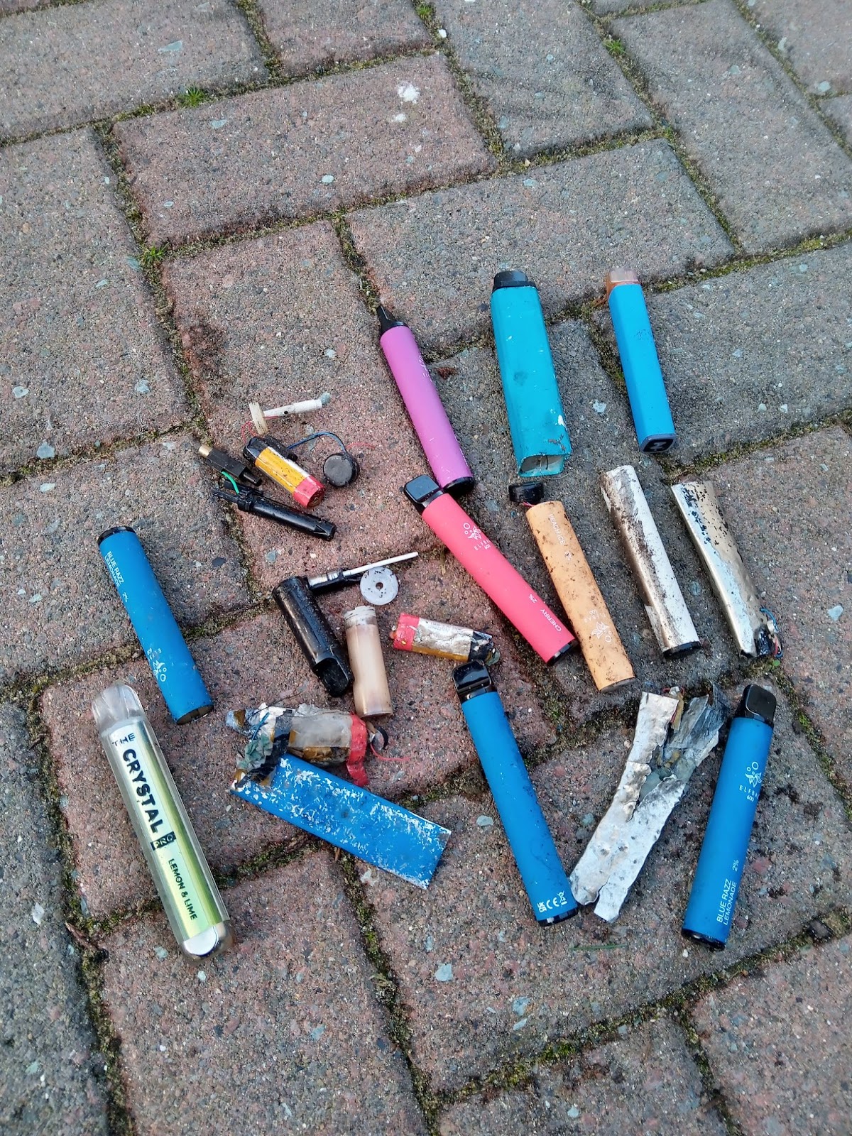 RSPCA urges litter-pickers to be on alert for discarded vapes