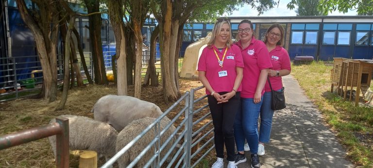 Scunthorpe store supports local school’s ‘Save our Sheep’ campaign