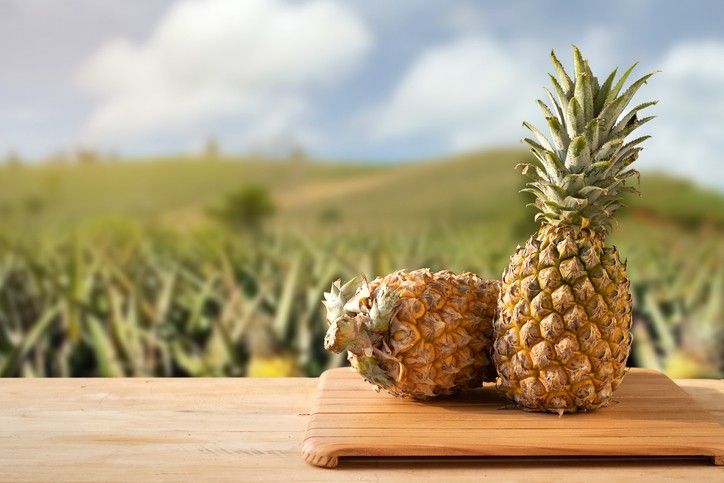 Del Monte’s Kenya plantation guards accused of gruesome killings