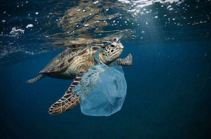 Set yourself Plastic Free!