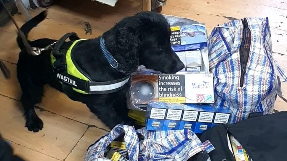 Islington business fined over £32,000 after sniffer dog detects illegal tobacco and vapes